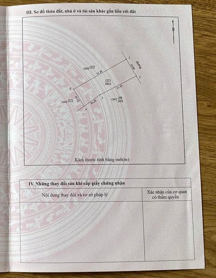 Đất Nền Nghi Thạch Nghi Lộc 300m² giá 2.99 tỷ - Đầu tư sinh lời ngay!