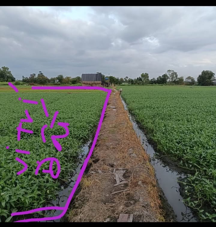 Đất nền Hóc Môn 3.200m² giá 3.6 tỷ - Sổ đỏ chính chủ, thương lượng nhẹ!