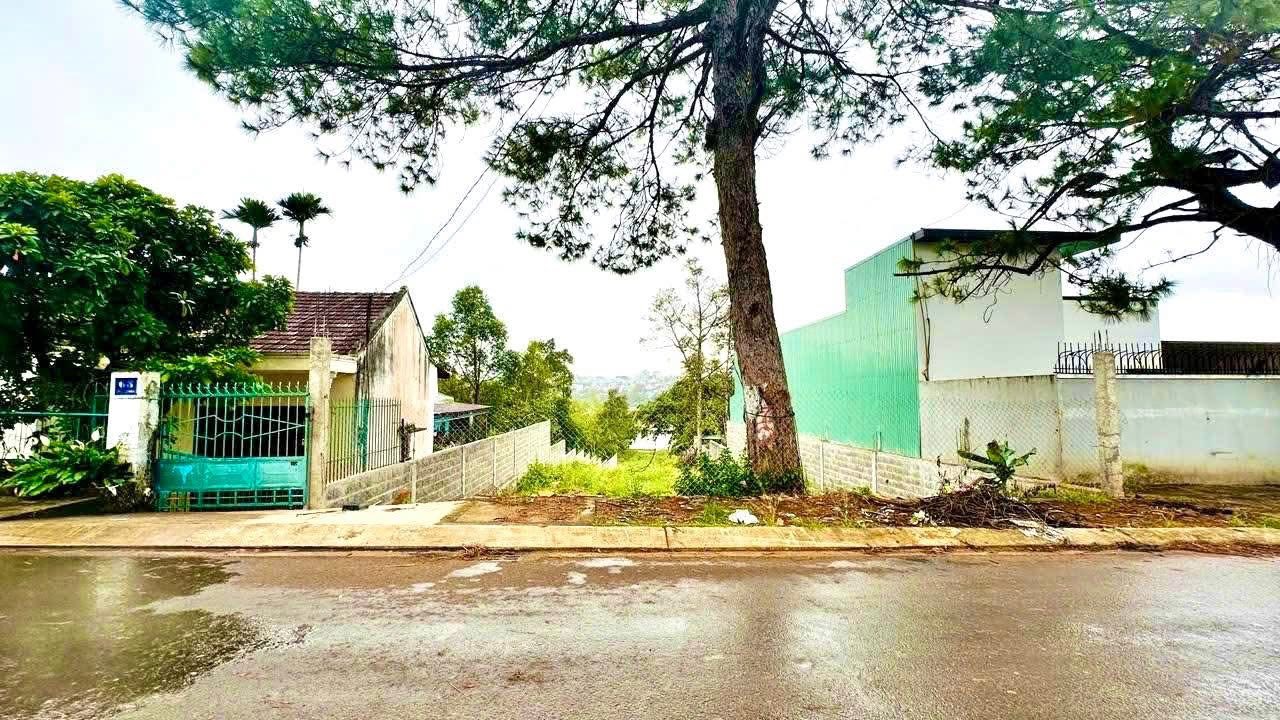 Đất nền mặt tiền Ngô Thì Nhậm, Pleiku 1440m² giá 5.1 tỷ - View ruộng cực đẹp, kinh doanh thuận lợi!