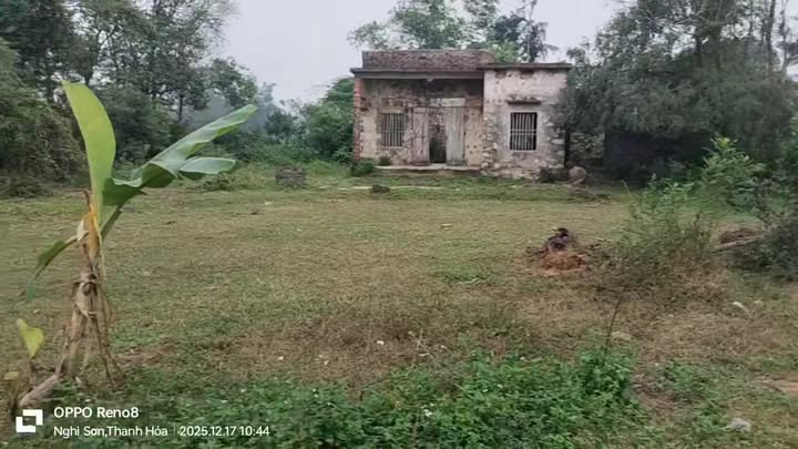 Đất nền 1326m² tại Tân Dân, Nghi Sơn - Đầu tư sinh lời ngay!