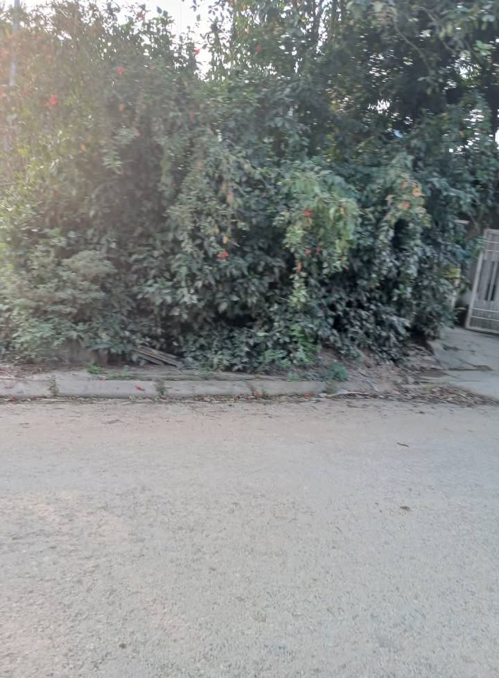 Đất thổ cư thôn Đắng Con, phường Âu Lâu, 150m² - Đường ô tô tránh nhau!