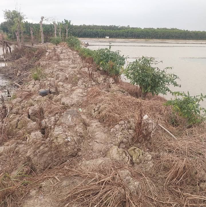 Đất nông nghiệp Tân Khánh Trung 5300m² giá 220 triệu - Mặt tiền thủy lợi rộng rãi!