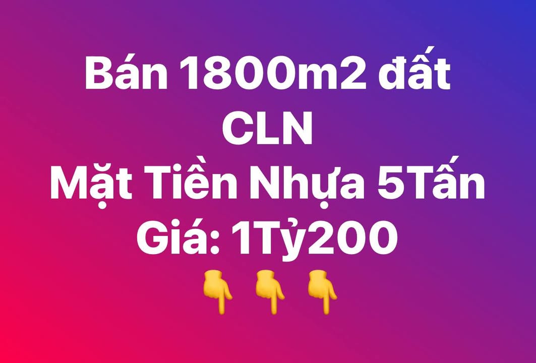 Đất mặt tiền lộ nhựa 5 tấn Hậu Lộc, Tam Bình 1.811m² giá 1.1 tỷ - Đầu tư sinh lời cao!