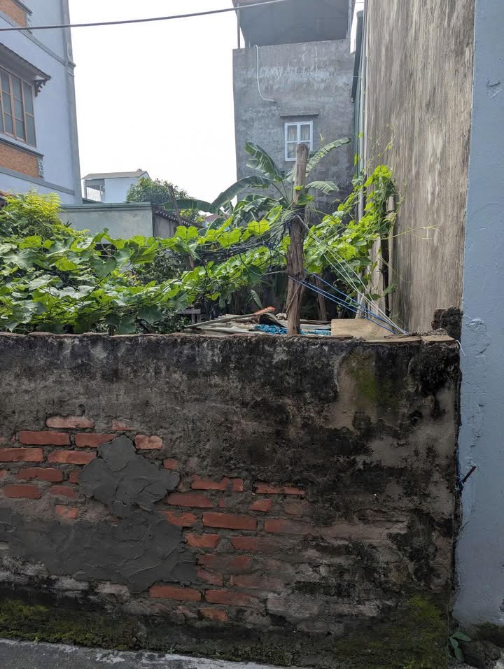 Đất Phúc Lợi Long Biên 40m² giá 5.6 tỷ - Sổ đỏ chính chủ, gần ô tô!