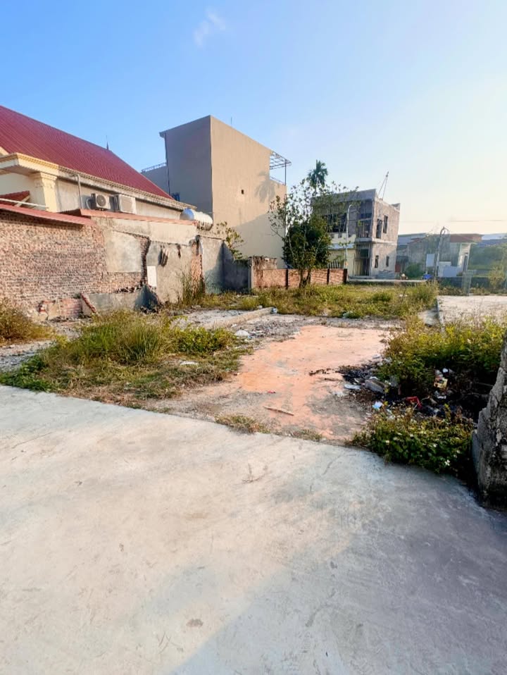 Đất nền Trường Thọ, An Lão, Hải Phòng - 65m² - Tiềm năng tăng giá mạnh!