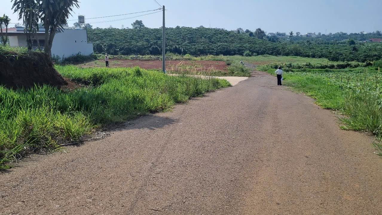 Đất nền Nguyễn Văn Cừ Đà Lạt 108m² giá 1.3 tỷ - Đường nhựa rộng rãi, tiện ích đầy đủ!