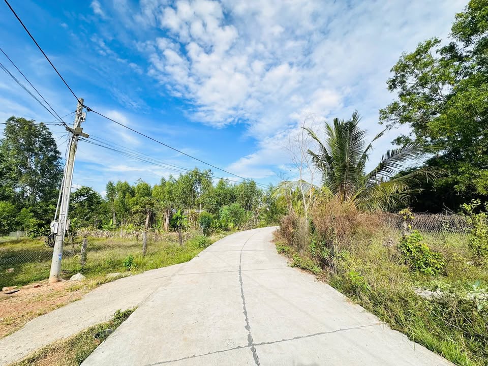 Đất nền Tân Xuân, Hàm Tân 1059m² chỉ 1 tỷ - Đầu tư lý tưởng!