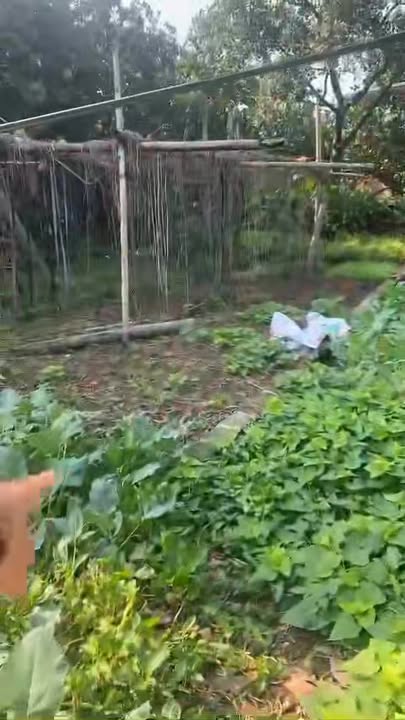 Đất Lô Góc Duyên Yết Hồng Thái Phú Xuyên 93m² giá 2.3 tỷ - Chính chủ bán gấp!