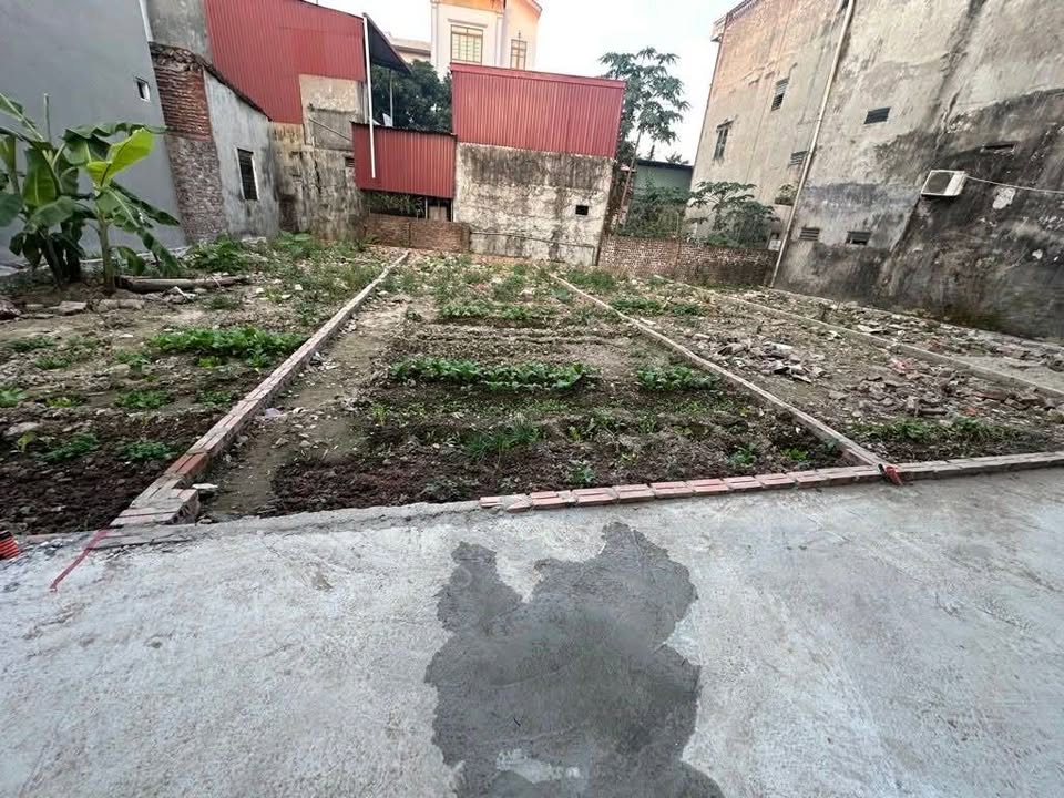 Đất nền Phù Khê Từ Sơn 51m² giá 1.4 tỷ - Đầu tư lý tưởng ngay sát Ninh Hiệp!