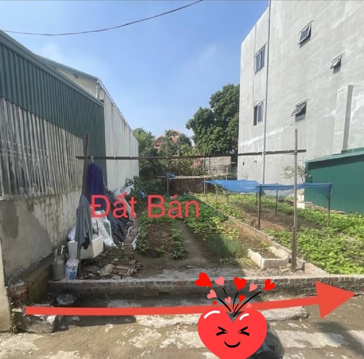 Đất Kiêu Kỵ Gia Lâm 65m² giá 4.6 tỷ - Ngõ thông ô tô 7 chỗ