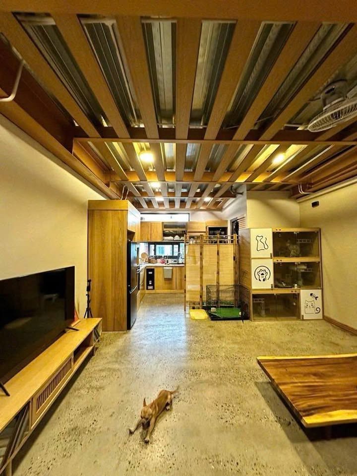 Nhà Phú Xá - Tây Hồ 72m² giá thỏa thuận - Thiết kế phong cách Nhật đẹp mắt!