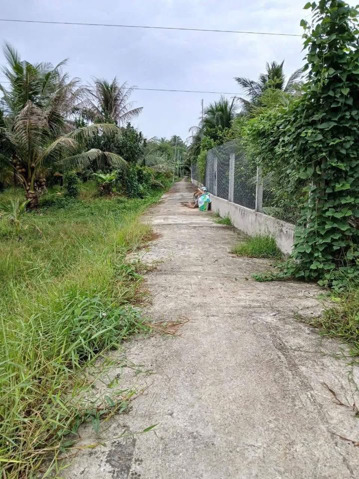 Đất nông nghiệp Hữu Định, Châu Thành, Bến Tre 507m² - Cơ hội đầu tư hấp dẫn!