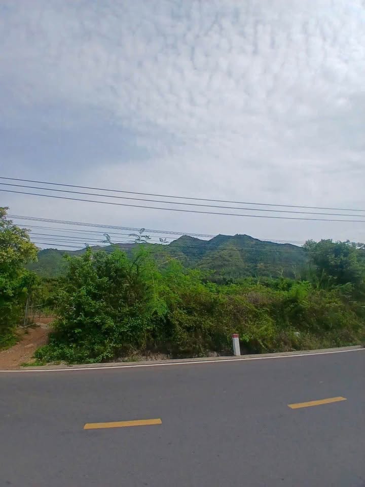 Đất mặt tiền Tỉnh Lộ 3 Phước Đồng Nha Trang 8000m² giá 24 tỷ - Cơ hội đầu tư tuyệt vời!