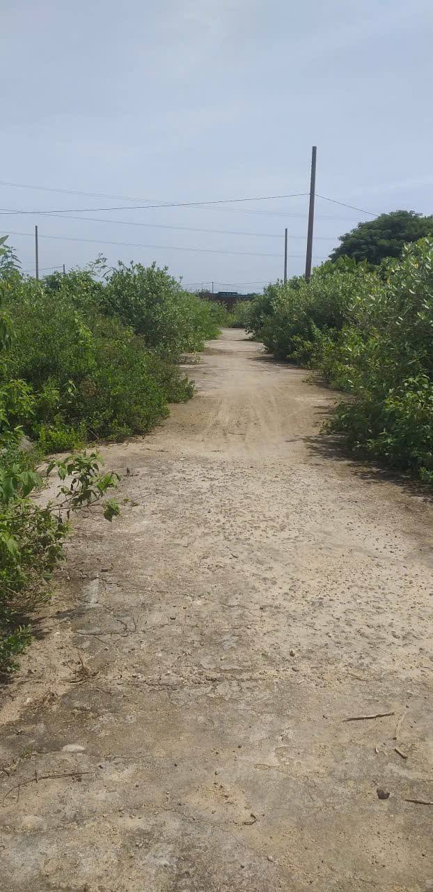 Đất thổ cư Phước Đồng 95m² giá 1.4 tỷ - Gần chợ và dự án Sungroup!