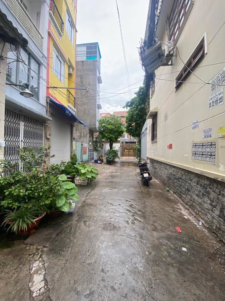 Nhà đẹp Bông Sao, Quận 8, 48.4m² giá 8.2 tỷ - Sẵn sàng vào ở!