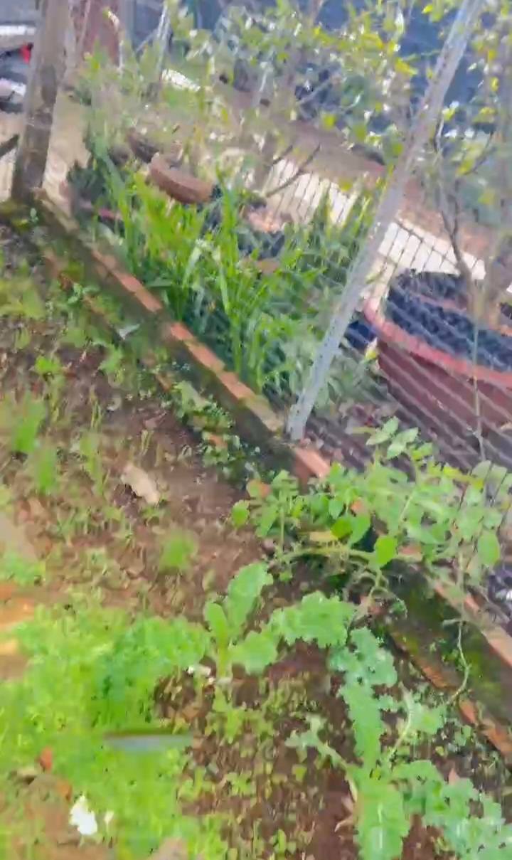 Nhà nguyên căn cho thuê tại Hẻm Trần Thế Xương, Bảo Lộc 1000m² - Không gian thoáng đãng, giá chỉ 3 triệu!