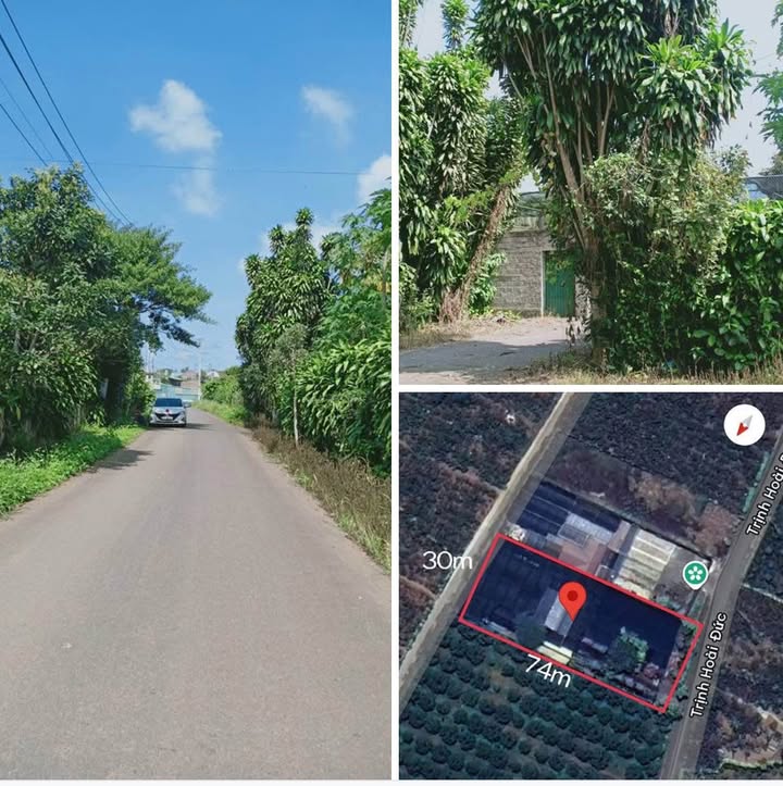 Đất nền 2 sào Lộc Nga, Bảo Lộc 2400m² giá 6.9 tỷ - Đầu tư sinh lời lâu dài!