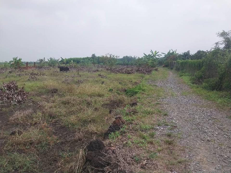 Đất Phú Hòa Định Quán 6100m² giá 1.641 tỷ - Đầu tư sinh lời lý tưởng!