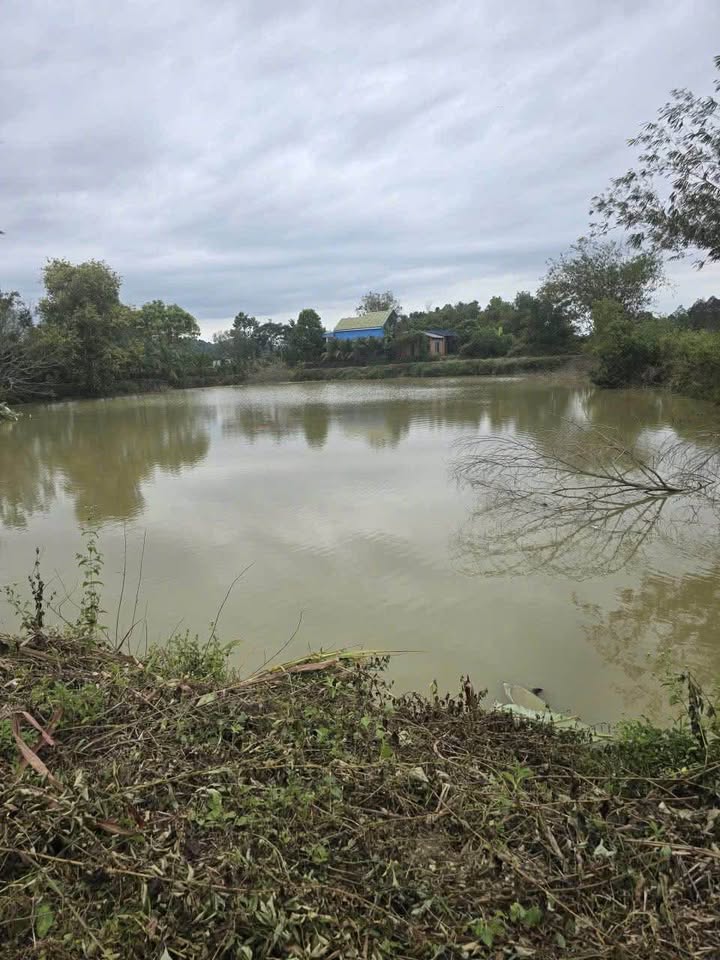 Đất Farm 2ha tại Nam Cát Tiên, Tân Phú, Đồng Nai - Giá chỉ 2.5 tỷ, thương lượng linh hoạt!