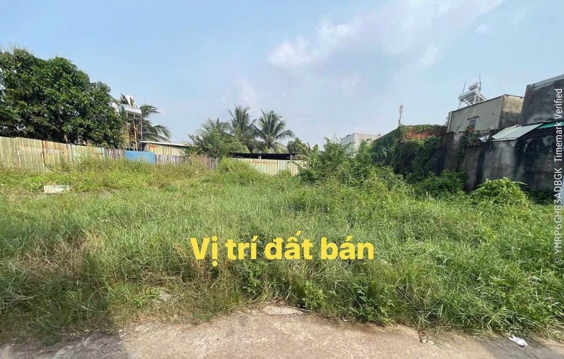 Đất sổ đỏ 100m² tại Long Thọ, Nhơn Trạch - Giá chỉ 1.32 tỷ, bớt lộc!