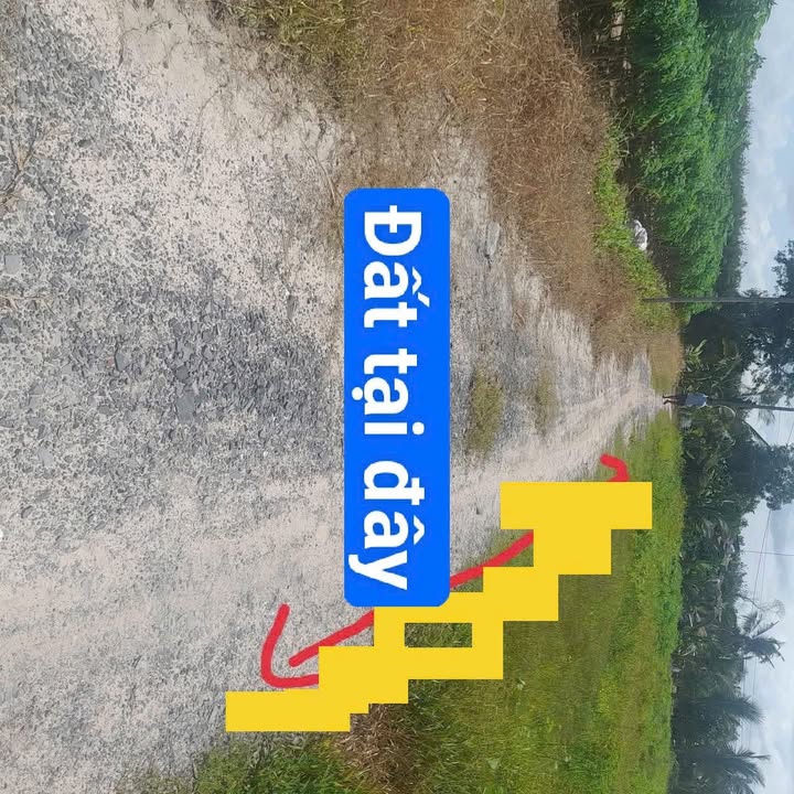 Đất thổ cư Phước Vinh, Châu Thành, Tây Ninh 1140m² - Giá tốt, sổ đỏ chính chủ!