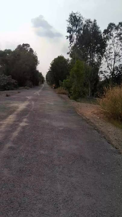 Đất mặt tiền đường HL.42, xã Hưng Thạnh, huyện Tân Phước 4000m² giá 260 triệu - Cơ hội đầu tư hấp dẫn!