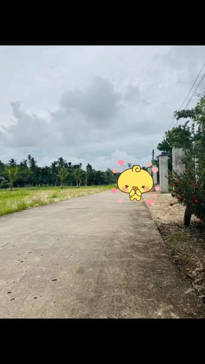 Đất thổ cư 50m² mặt tiền đường bê tông An Bình Châu Thành giá 1.1 tỷ - Cơ hội đầu tư tuyệt vời!