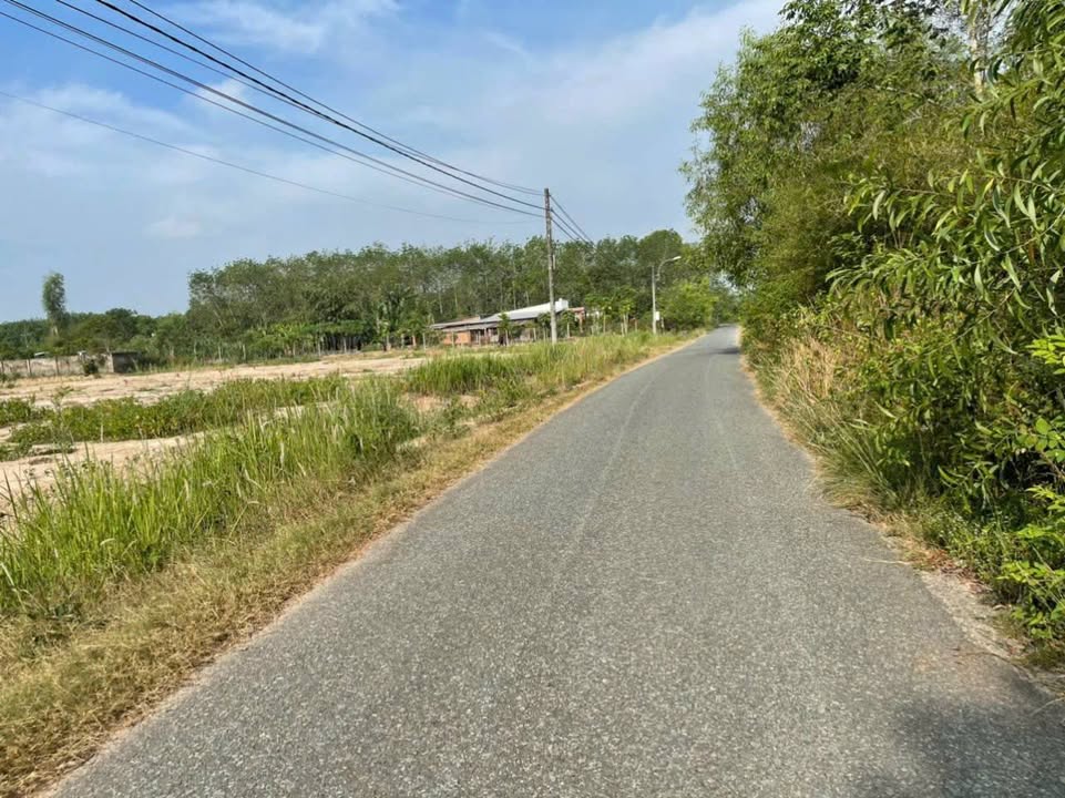 Bán đất Nhuận Đức Củ Chi 1.344m² giá 6,2 tỷ - Vị trí đắc địa, sổ đỏ chính chủ!