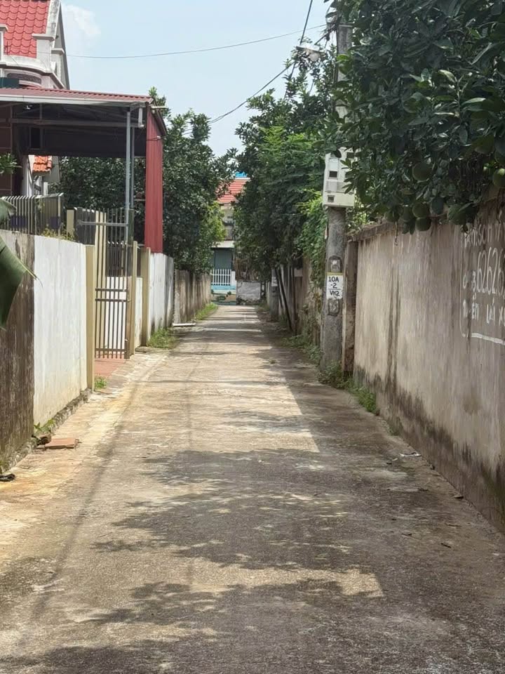 Đất nền Vân Hà, Phúc Thọ 85m² giá chỉ 2x - Khu vực ô tô vào tận nơi!