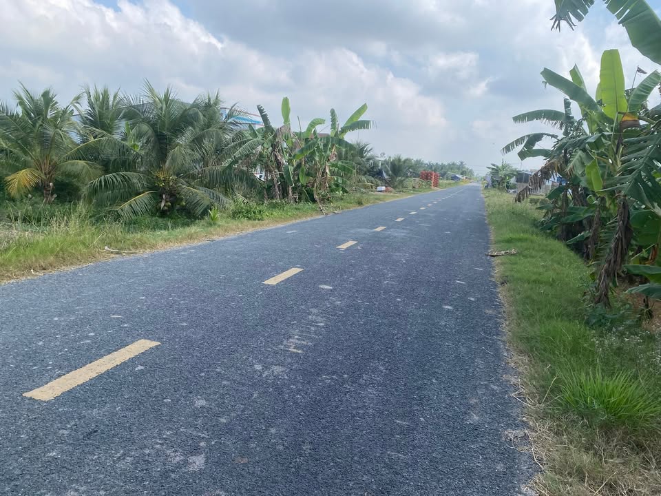 Đất vườn dừa 6000m² mặt tiền tỉnh lộ 912 - Giá chỉ 4.8 tỷ!