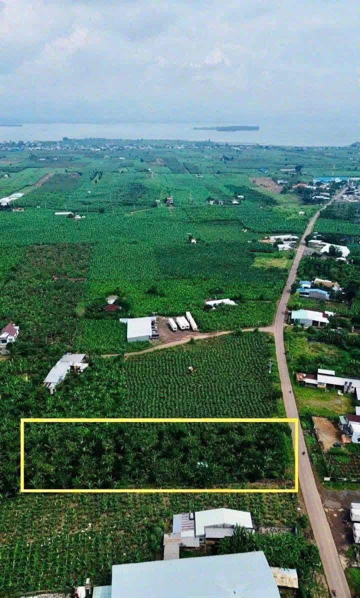 Đất nền mặt tiền Nguyễn Hoàng, Bàu Hàm 1155m² giá chỉ 2 tỷ - Cơ hội đầu tư tuyệt vời!