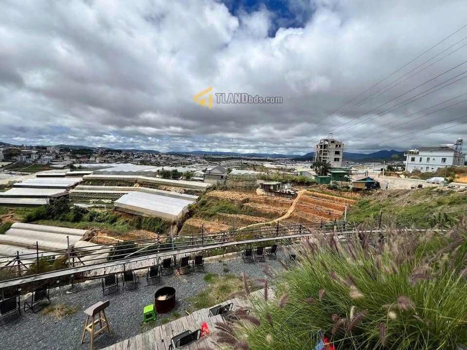 Đất nông nghiệp đường Huỳnh Tấn Phát, Đà Lạt 3767m² giá 40 tỷ - Đầu tư sinh lời hấp dẫn!