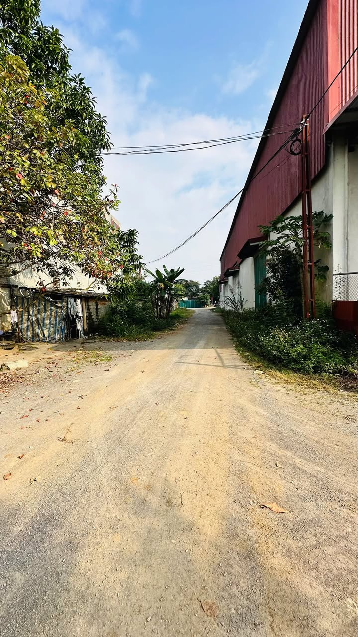 Đất nền Đồng Phong Nho Quan 90m² giá 900 triệu - Đầu tư sinh lời ngay!