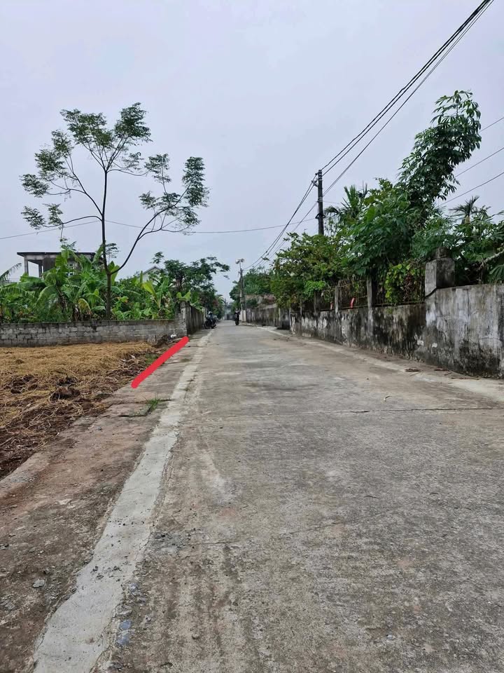 Đất nền Đông Hoàng Tiền Hải 115m² - Đường rộng ô tô, pháp lý rõ ràng!