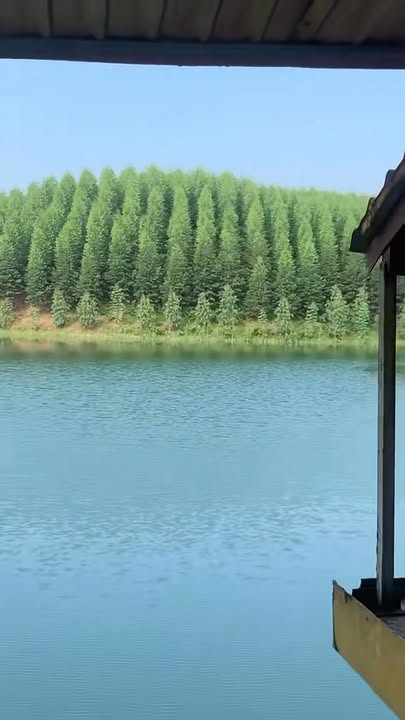 Đảo du lịch Hồ Thác Bà 60000m² giá thỏa thuận - View hồ tuyệt đẹp!