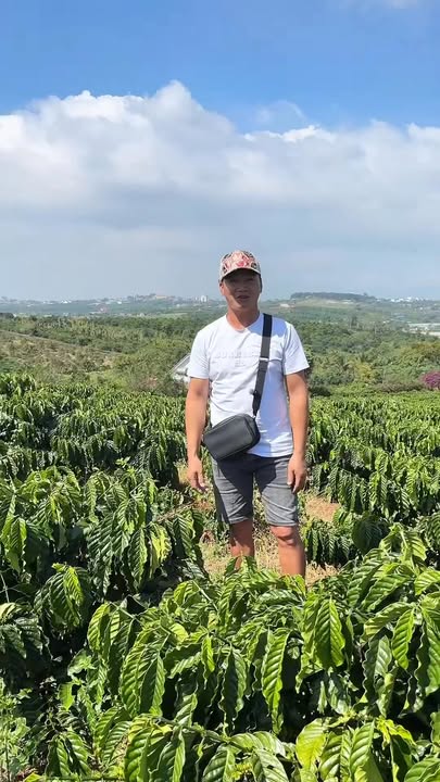 Đất nền Tân Hà, Lâm Hà 10,611m² giá 13 tỷ - Cơ hội đầu tư hấp dẫn!