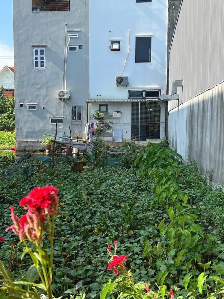 Đất kinh doanh tại Ninh Tiến, Ninh Bình 95m² - Vị trí đắc địa gần trung tâm!