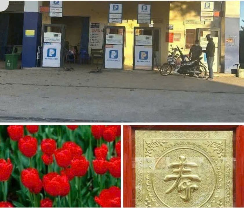 Cây Xăng đang hoạt động tại QL 14, TT Đắc Hà, 782m² - Giá 14.1 tỷ, thương lượng ngay!