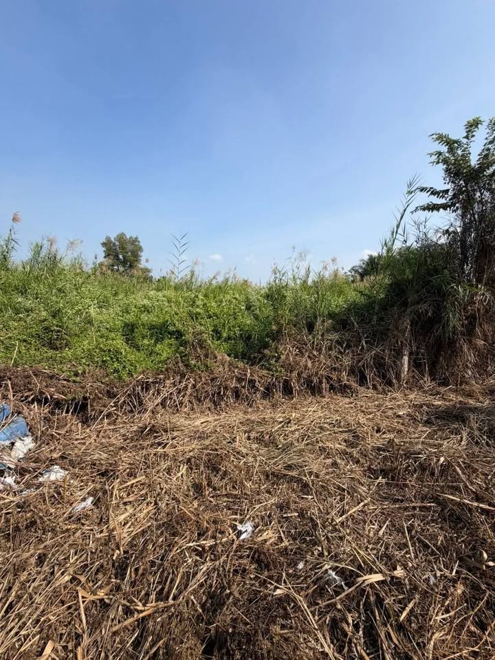 Đất 500m² tại ấp 5, Bình Mỹ, Củ Chi giá 1.75 tỷ - Đầu tư lý tưởng cho nghỉ dưỡng!