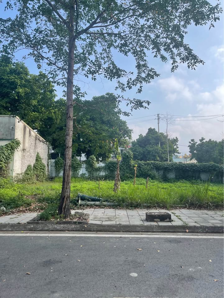 Đất nền khu Zenvila Hòa Bình 94m² - Mặt tiền 5.8m, giá thỏa thuận