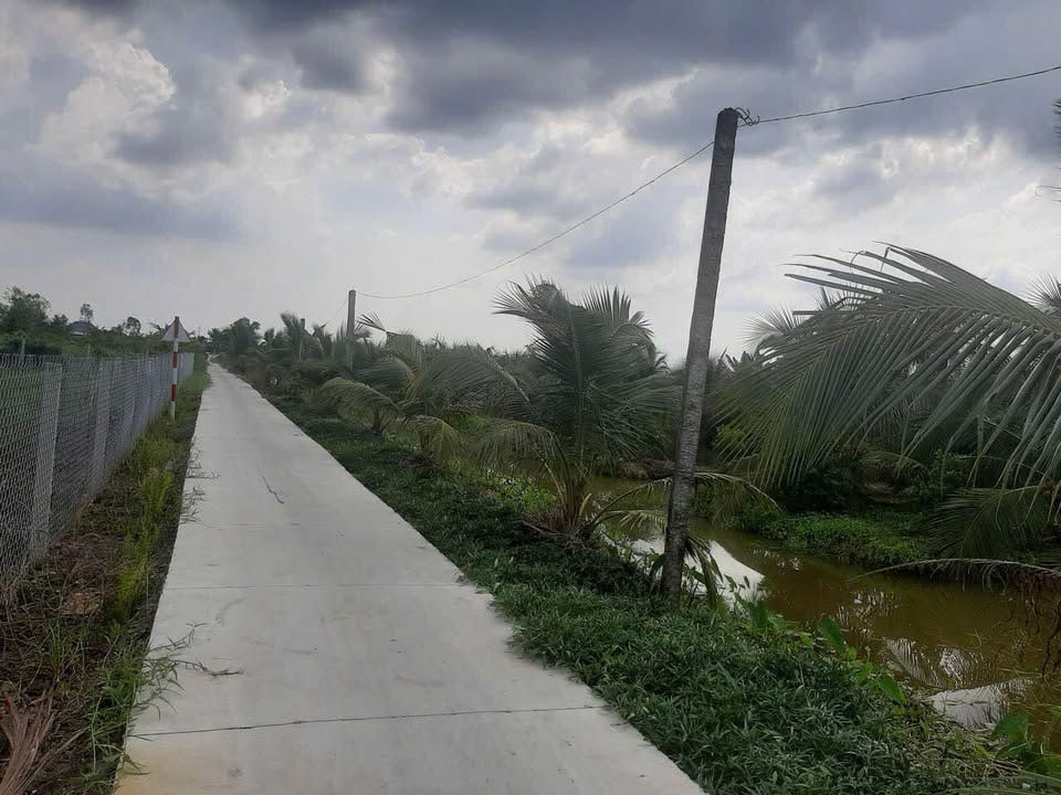 Đất nền Long Hưng, Châu Thành, Đồng Tháp 2000m² giá 1.6 tỷ - Tiềm năng đầu tư cao!