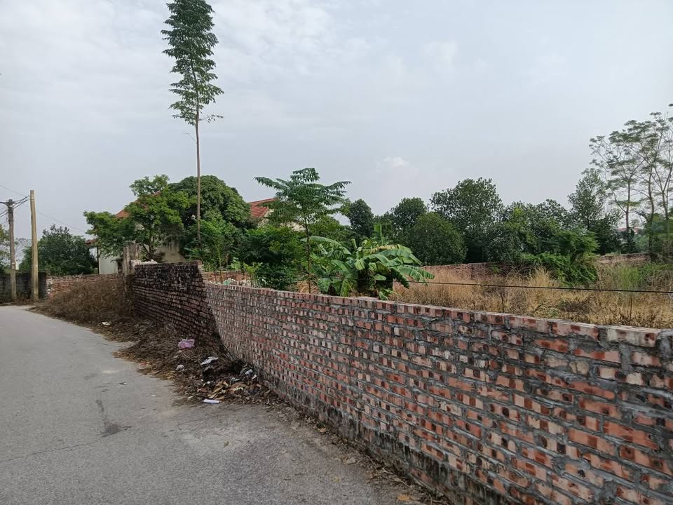 Đất nền Lâm Thao, Bắc Ninh 100m² - Chính chủ bán nhanh giá thỏa thuận!