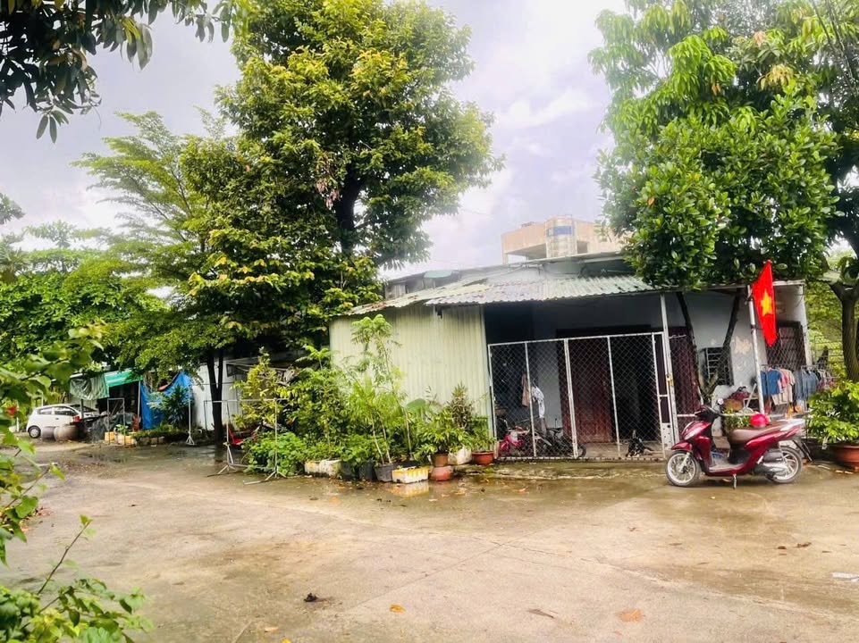 Đất nền Vĩnh Phú 134,5m² giá 6.5 tỷ - Lô góc 2 mặt tiền hoàn hảo!