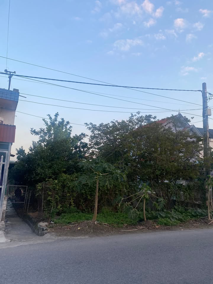 Đất nền thổ cư 240m² tại Xuân Trường - Giá chỉ 4 tỷ, đầu tư sinh lời!