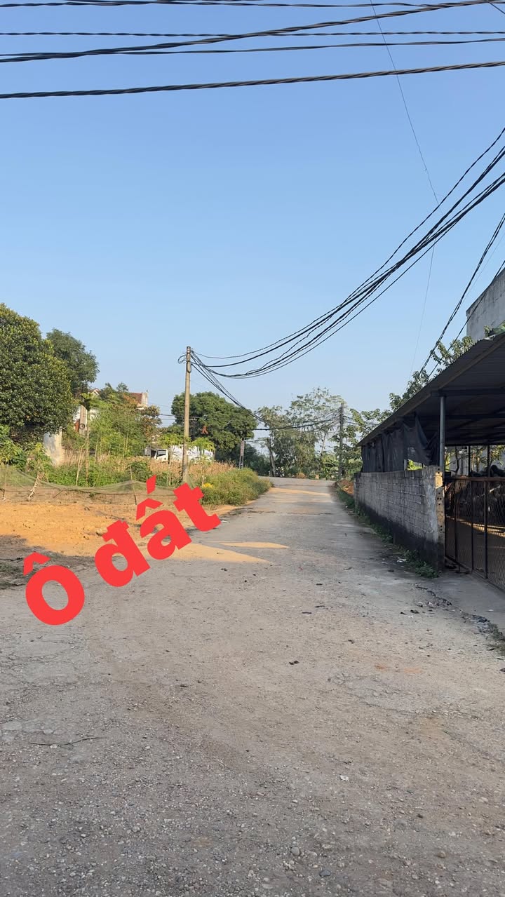 Đất nền B2 Tỉnh Lộ 32C, Tiên Kiên, 173m² - Vị trí đắc địa, giá đầu tư hấp dẫn!