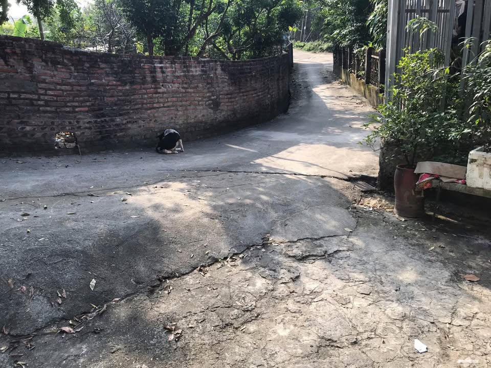 Nhà 2 tầng tổ 13 Ngọc Xuân 122.8m² giá 2 tỷ - Ô tô đến nơi, không lo ngập!