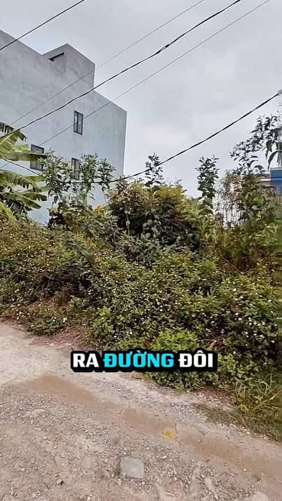 Đất dịch vụ Lại Yên 120m² giá thỏa thuận - Vị trí đẹp, tiềm năng tăng giá cao!