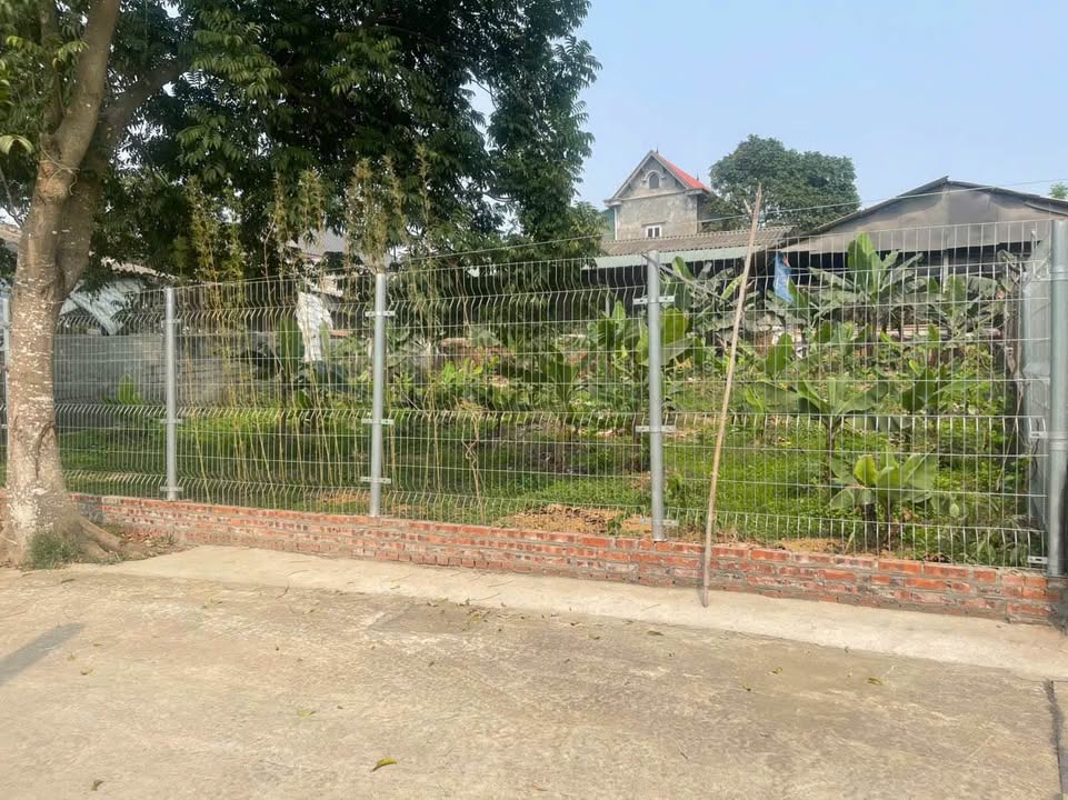 Đất thổ cư 400m² tại thôn Việt Yên, Quốc Oai - Giá chỉ 4 tỷ, đầu tư sinh lời!