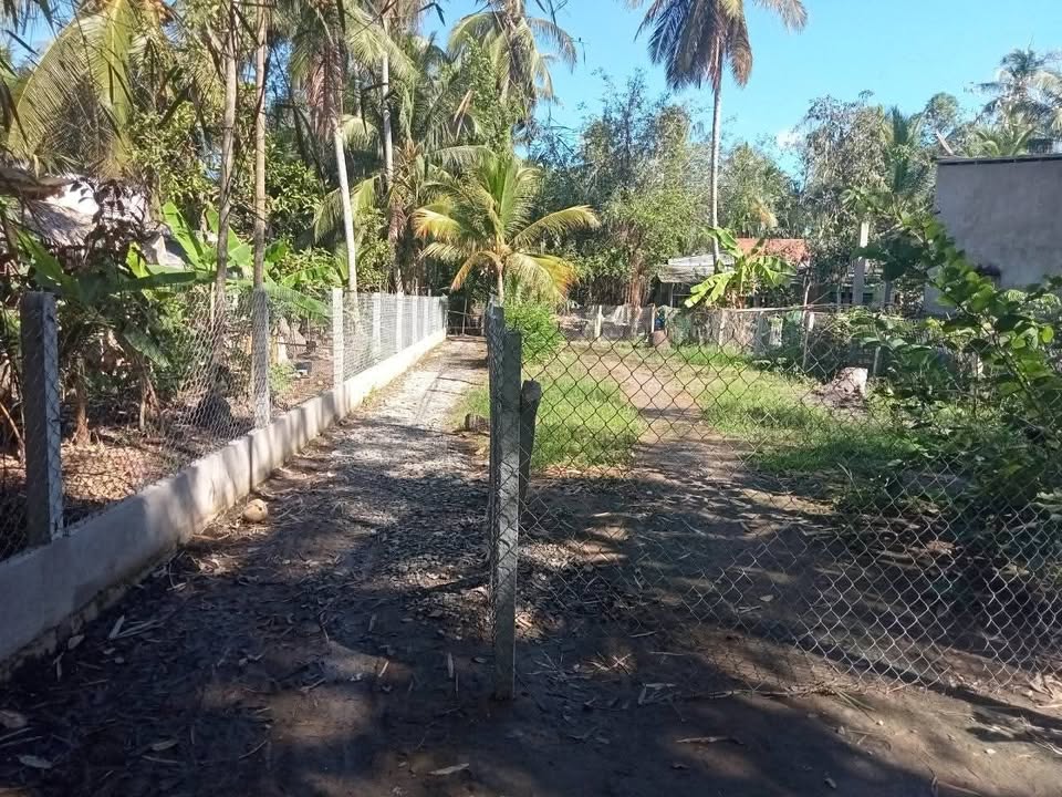 Đất nền Phước Lý, Mỏ Cày Bắc 273m² giá chỉ 350 triệu - Đầu tư lý tưởng!