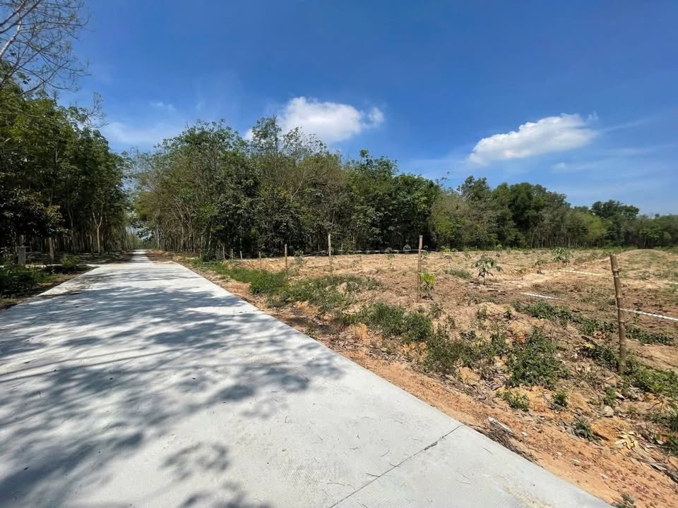 Đất nền 1,8ha Chánh Phú Hòa, Bến Cát giá 28 tỷ - Cơ hội đầu tư tuyệt vời!